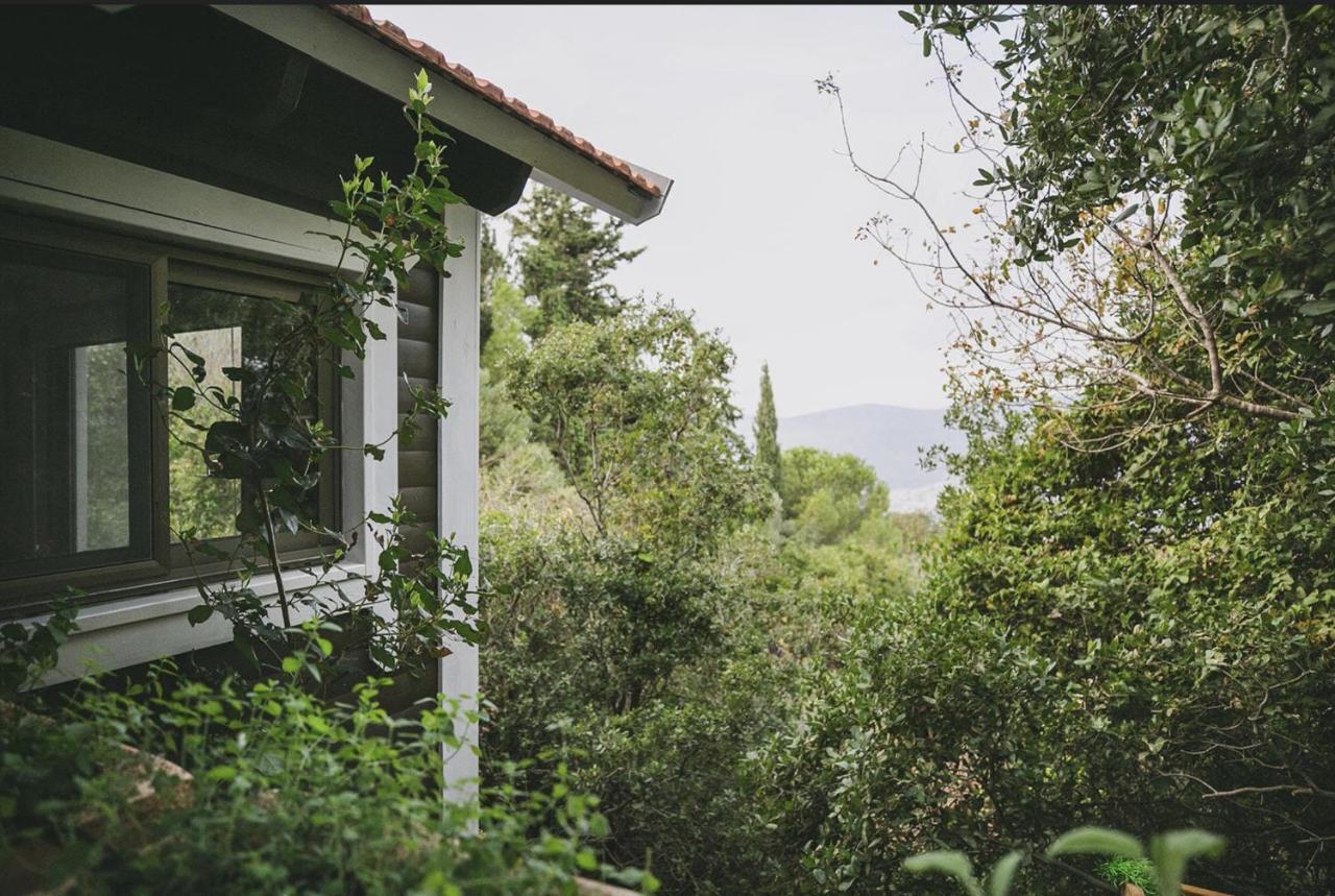 Live In The Woods Villa Mikhmannim Ngoại thất bức ảnh