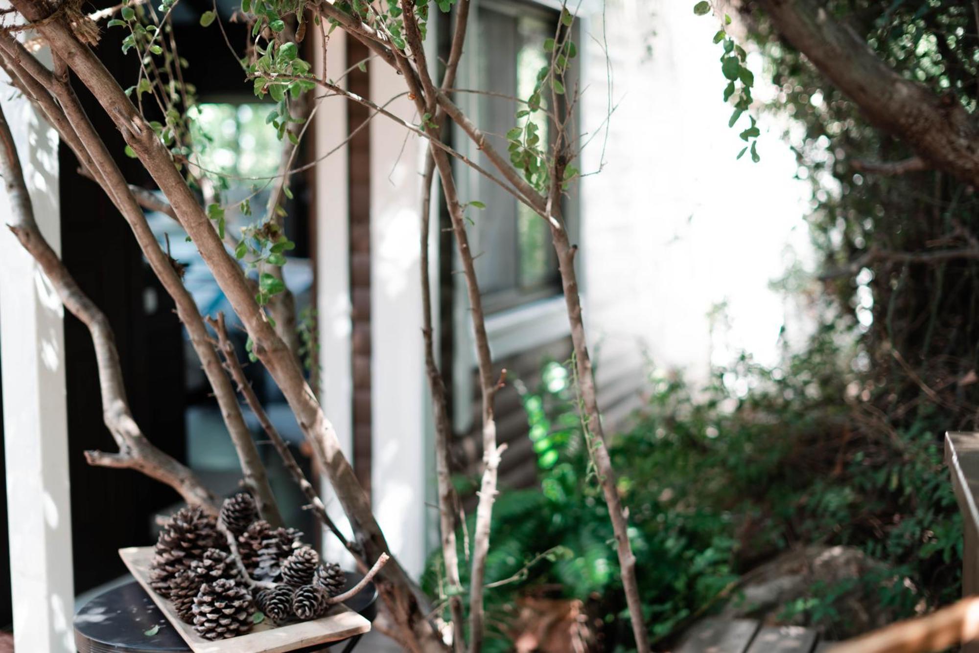 Live In The Woods Villa Mikhmannim Ngoại thất bức ảnh